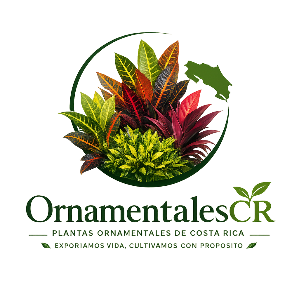 Venta de Plantas ornamentales en Costa Rica